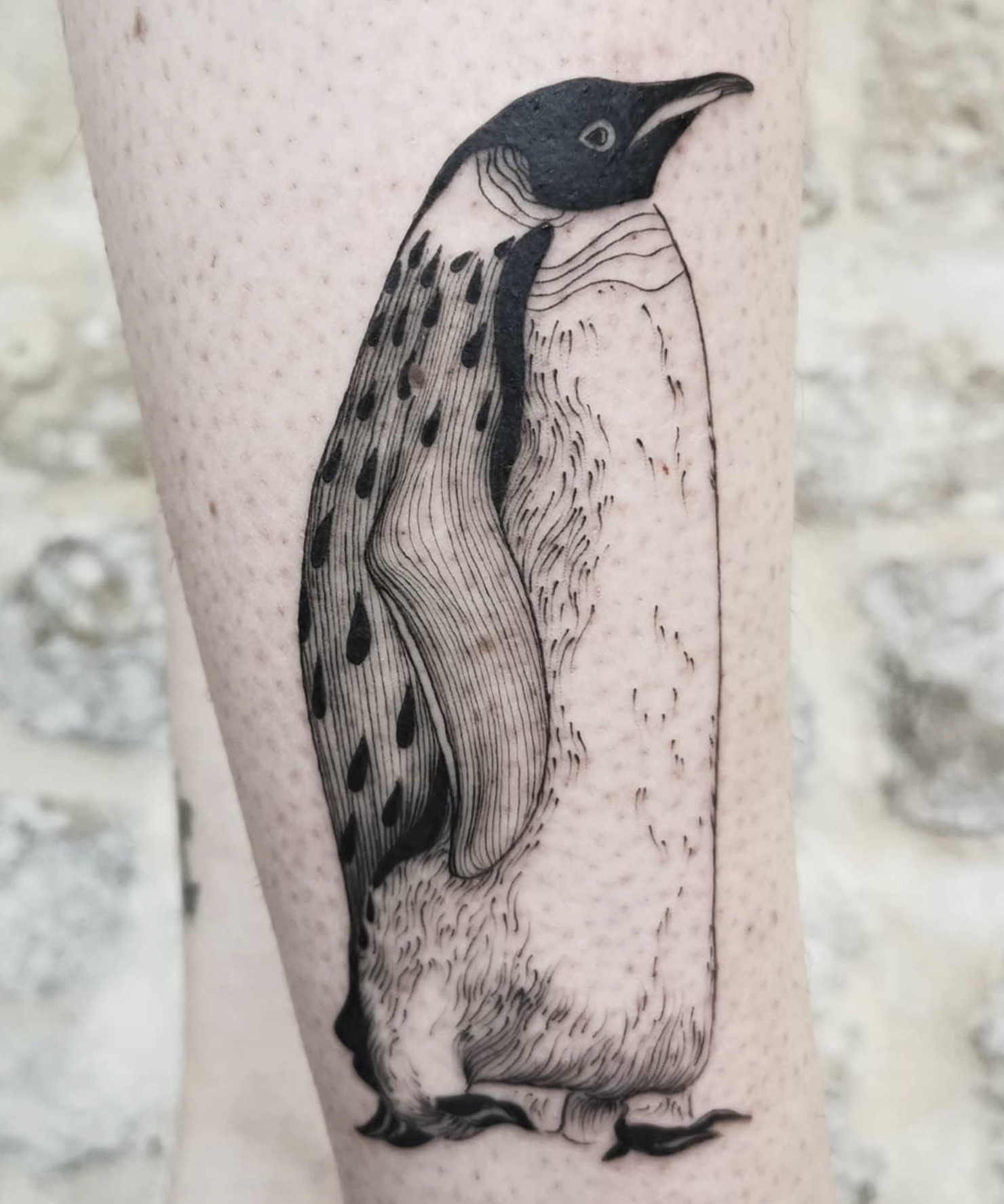 linework style tattoo by Carlotta