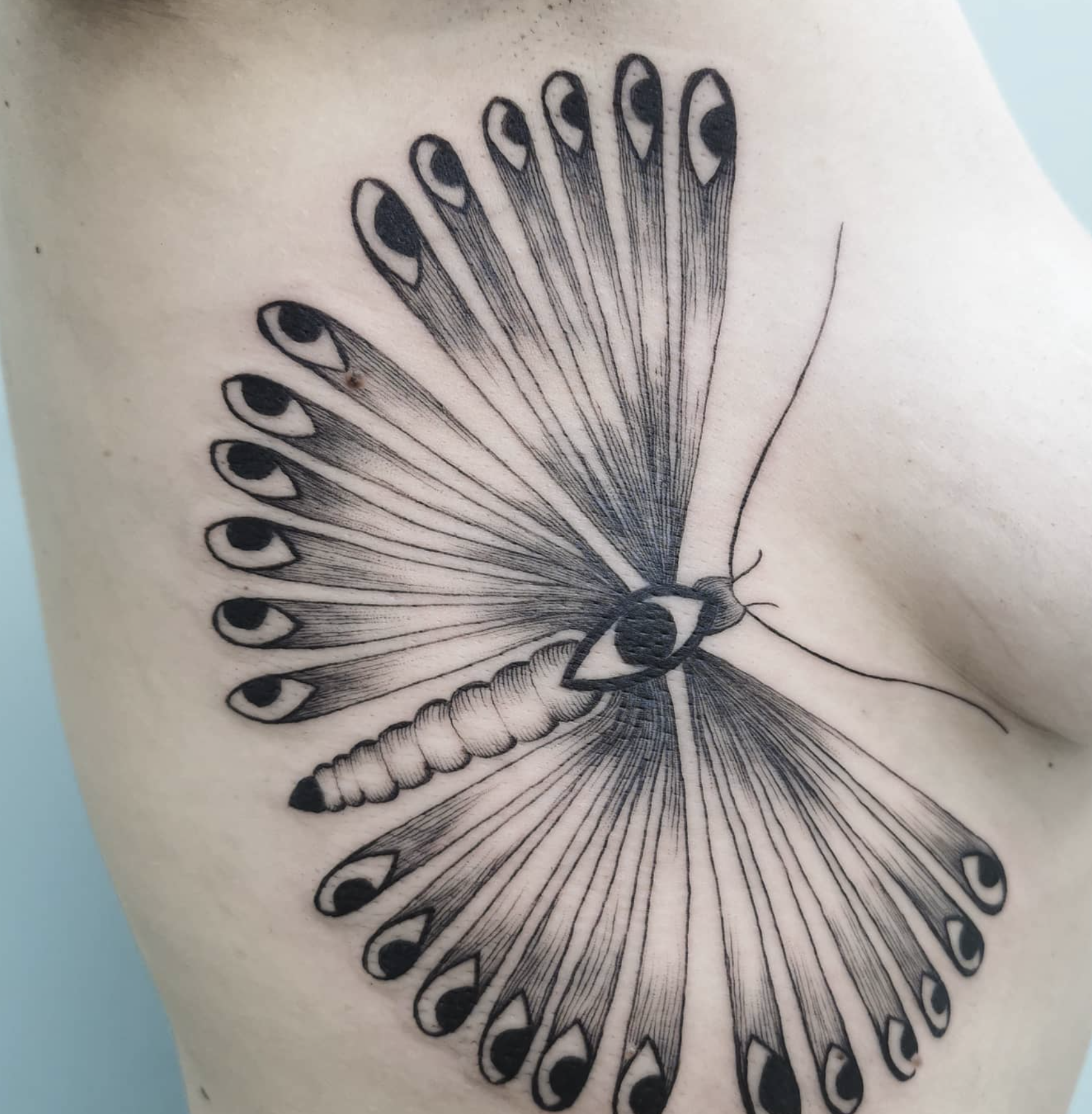 butterfly linework style tattoo by Carlotta