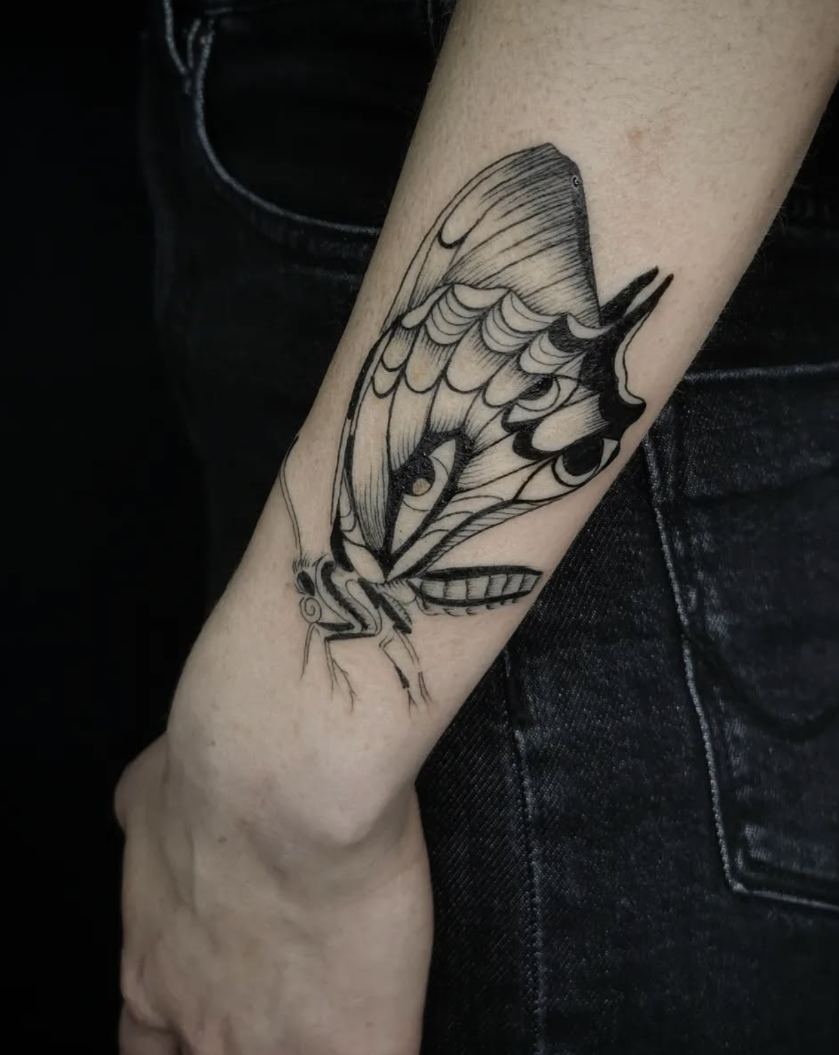 butterfly black and gray style tattoo by Carlotta