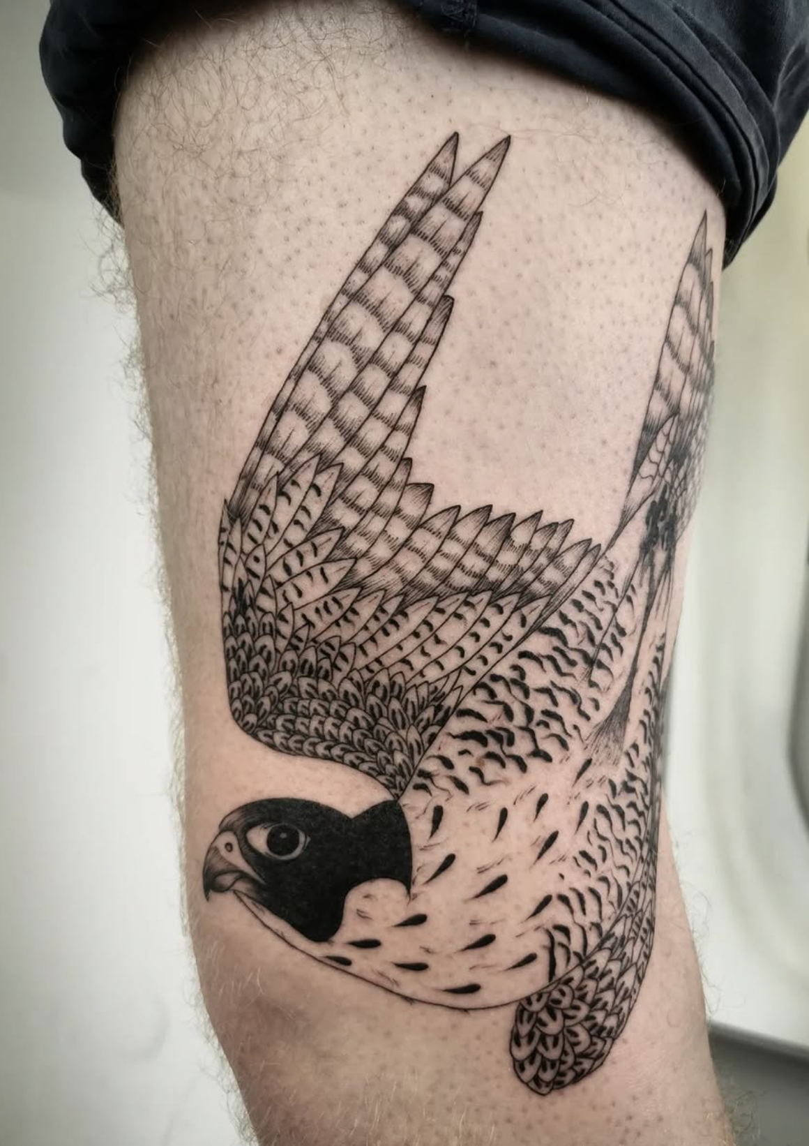 bird realistic style tattoo by Carlotta