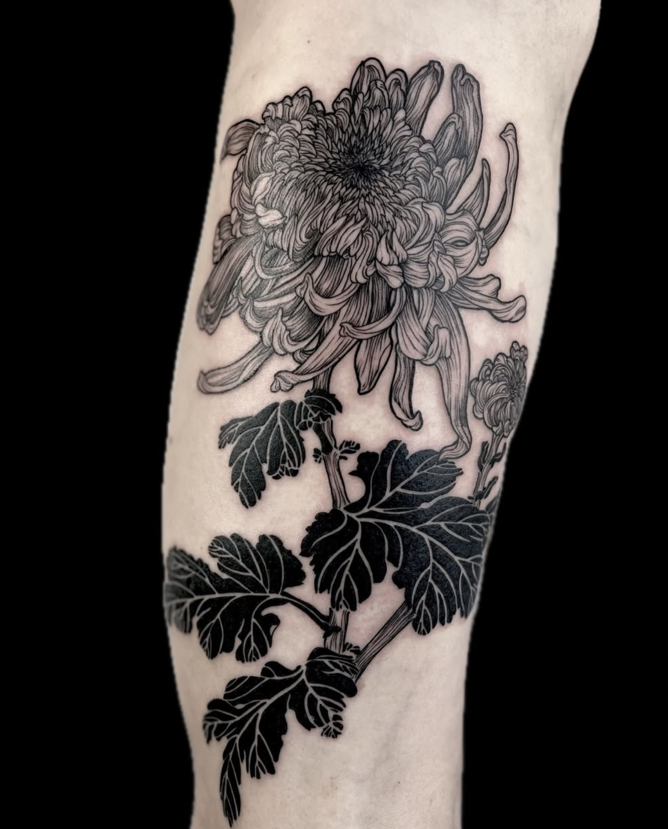 leaf black and gray style tattoo by Carlotta