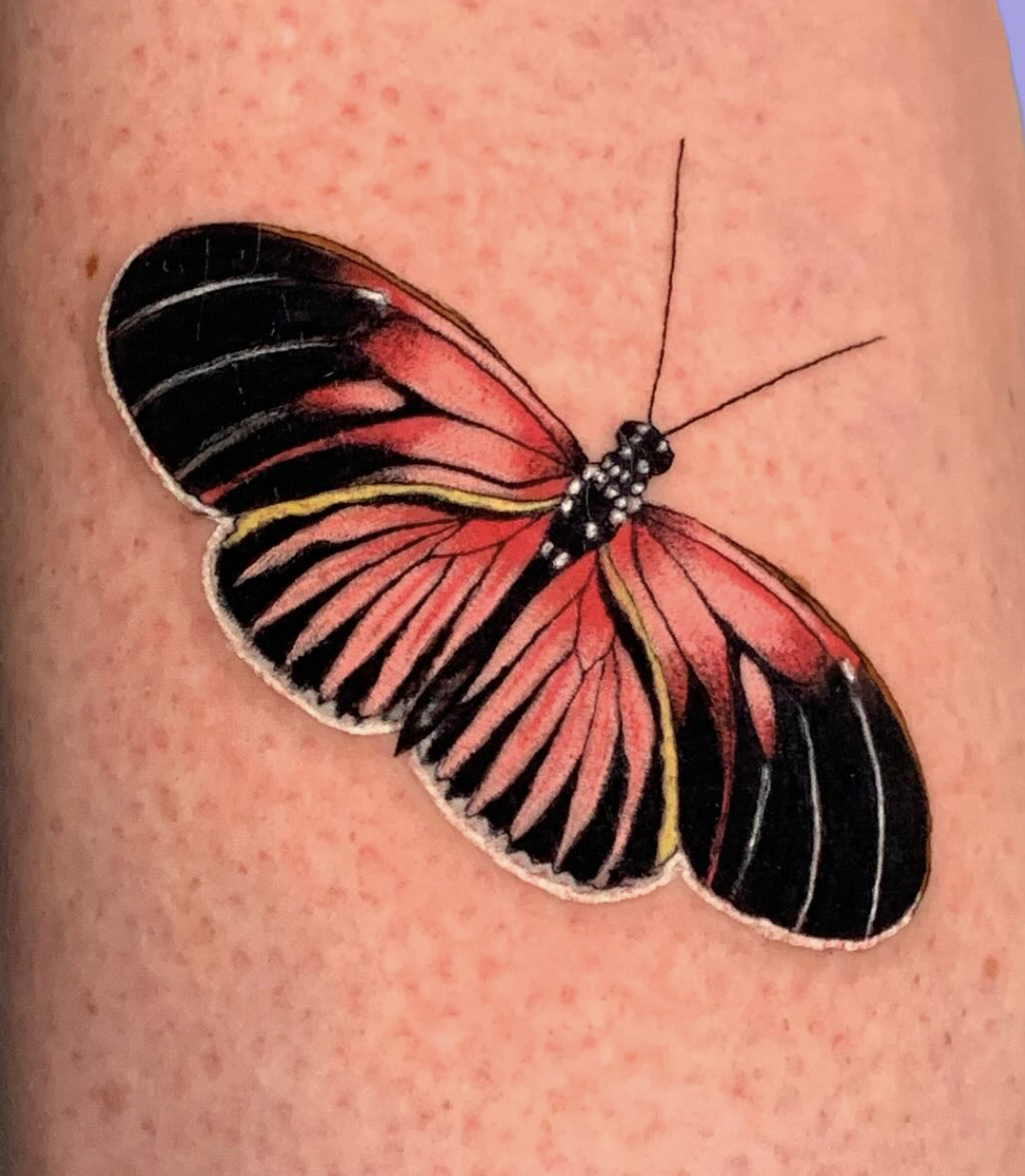butterfly realism style tattoo by Karla O