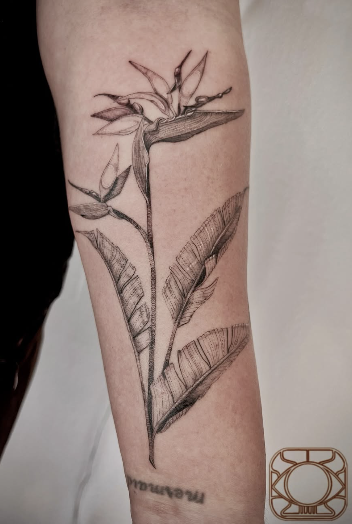 realism style tattoo by Mariel Bayona