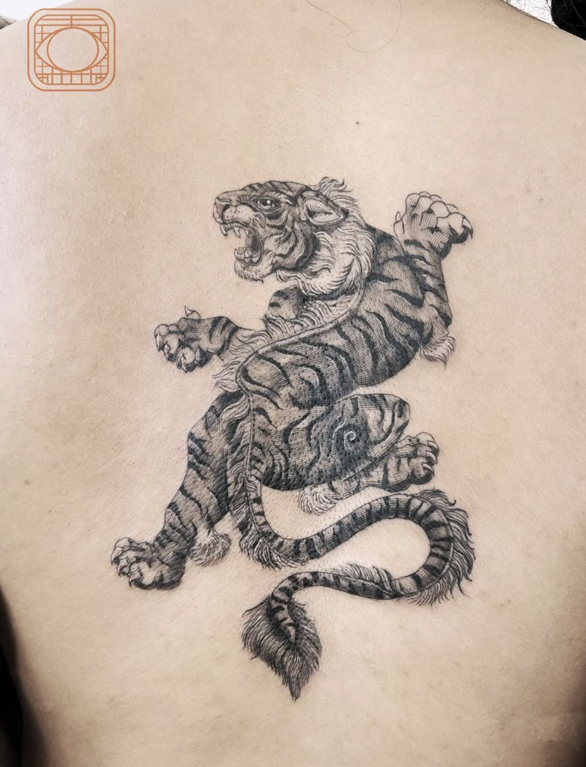 tiger realistic style tattoo by Mariel Bayona