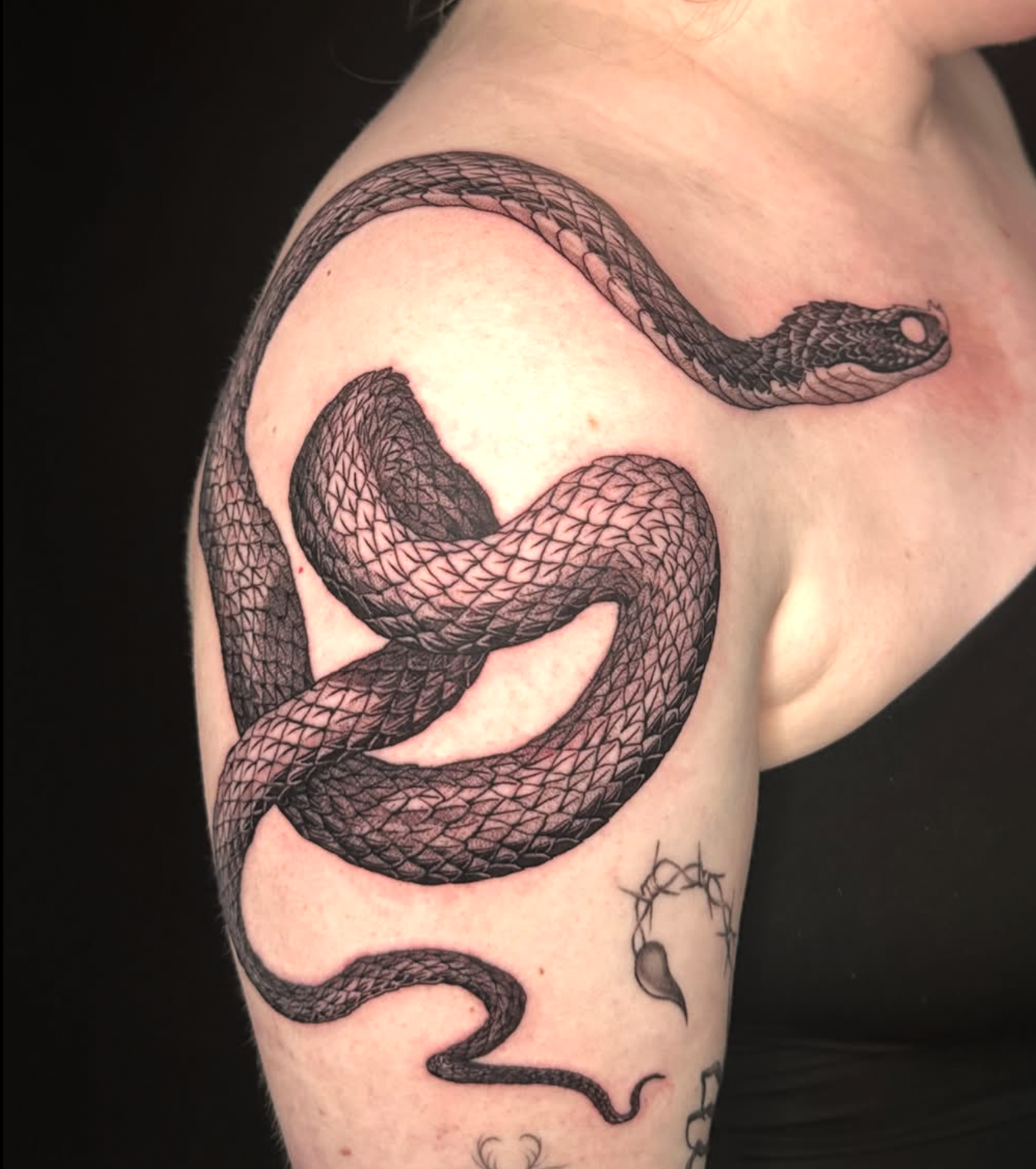 snake black and gray style tattoo by Strokin Dark