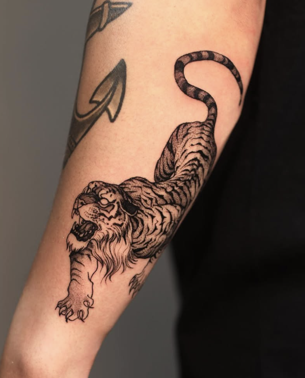 tiger neo-traditional style tattoo by Strokin Dark