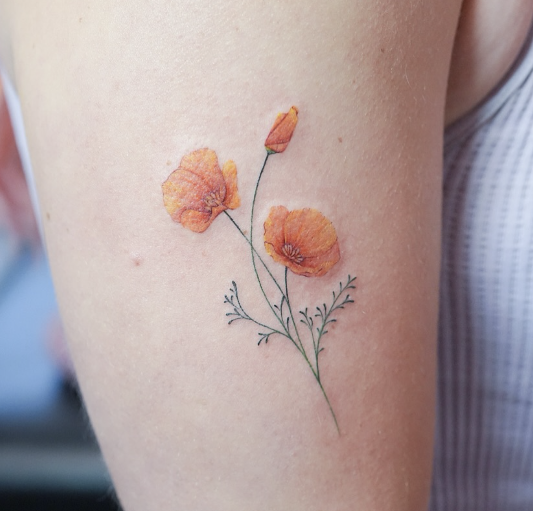 watercolor style tattoo by Tina Choi