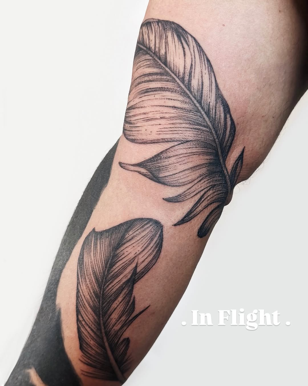 fine line style tattoo by Katya