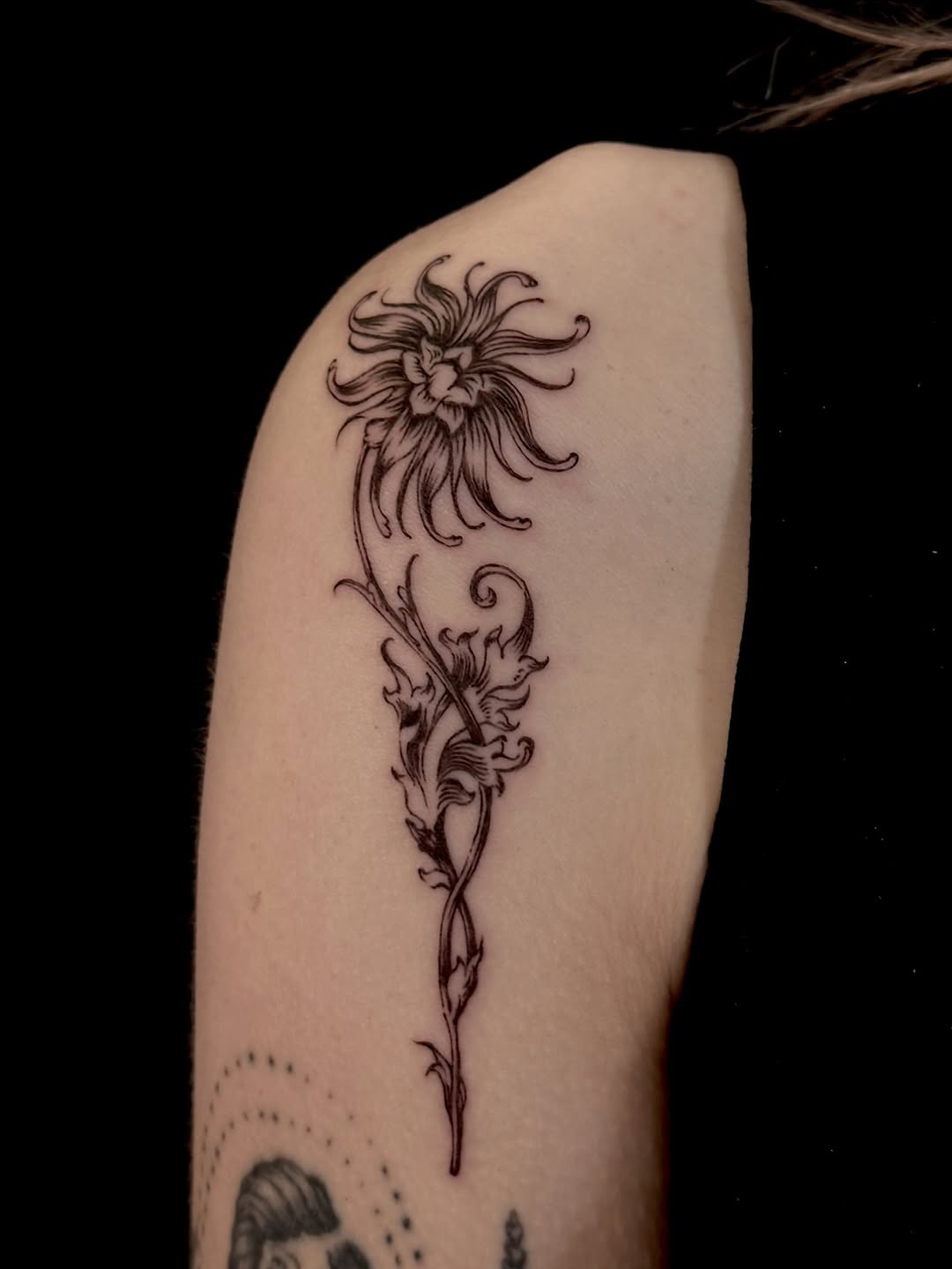 blackwork style tattoo by Lauren Kerr