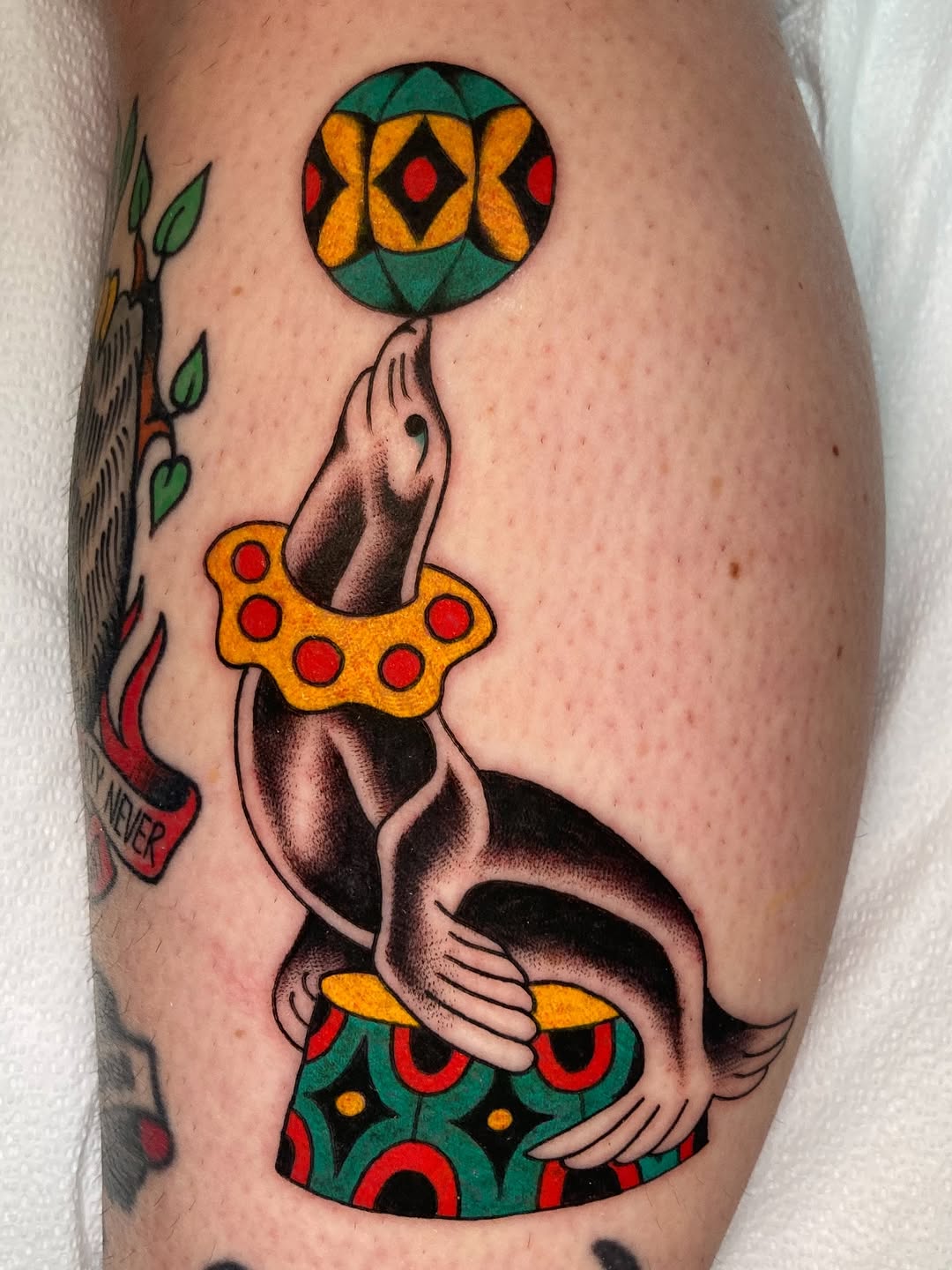 traditional style tattoo by Erin OKeefe