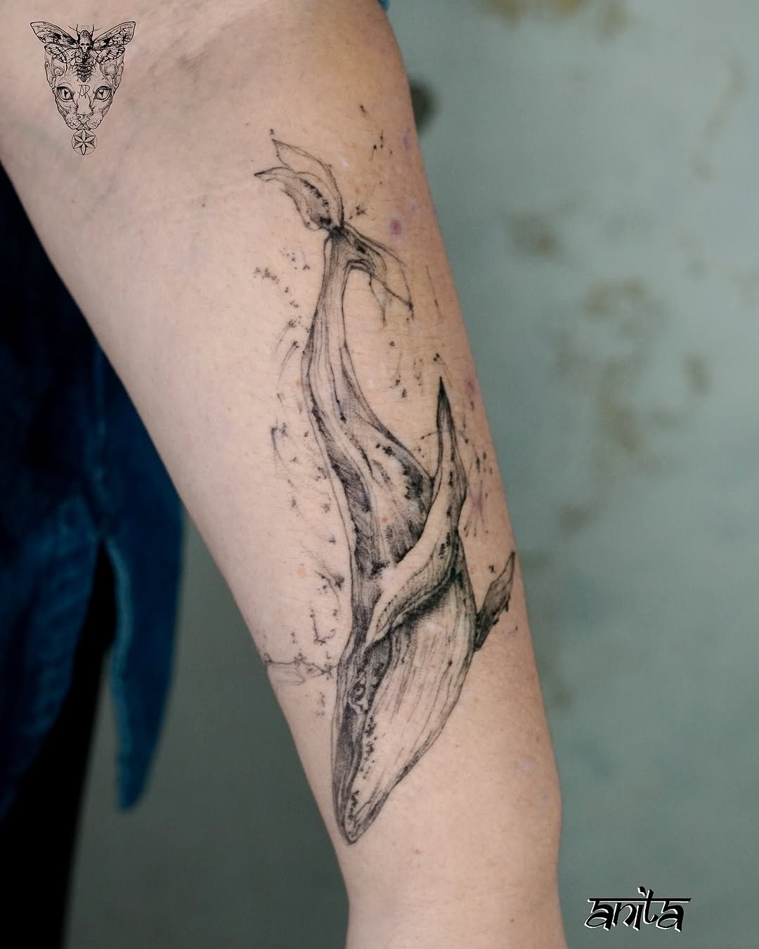 cat and whale sketch style style tattoo by Anita Rossi