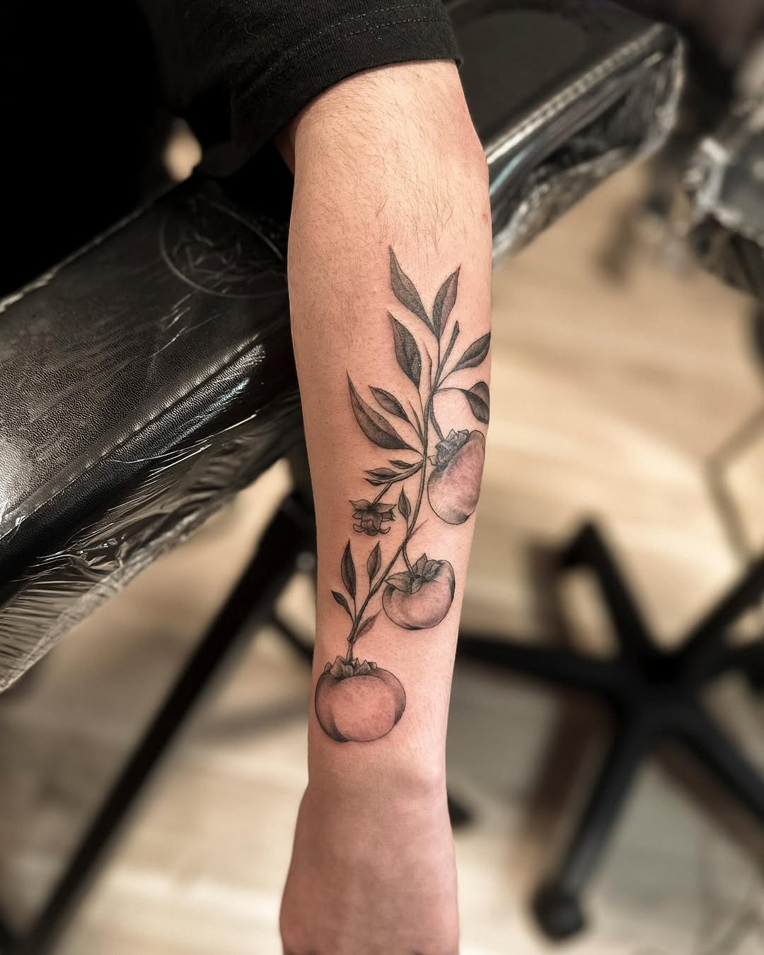 plant and branch fine line style tattoo by jamietattoos