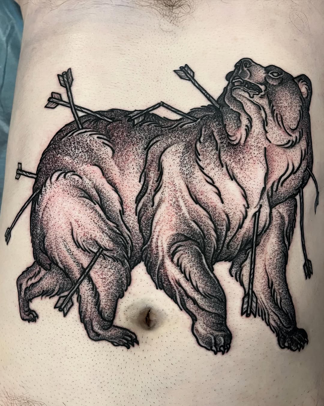 Grizzly bear with arrows