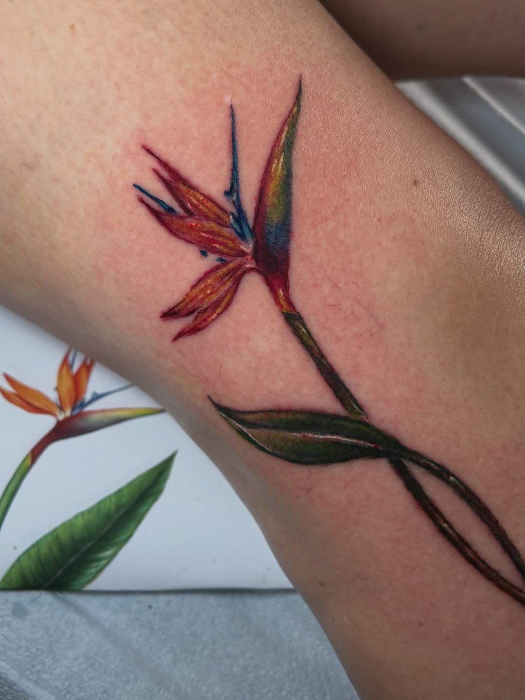 realism style tattoo by Oliver