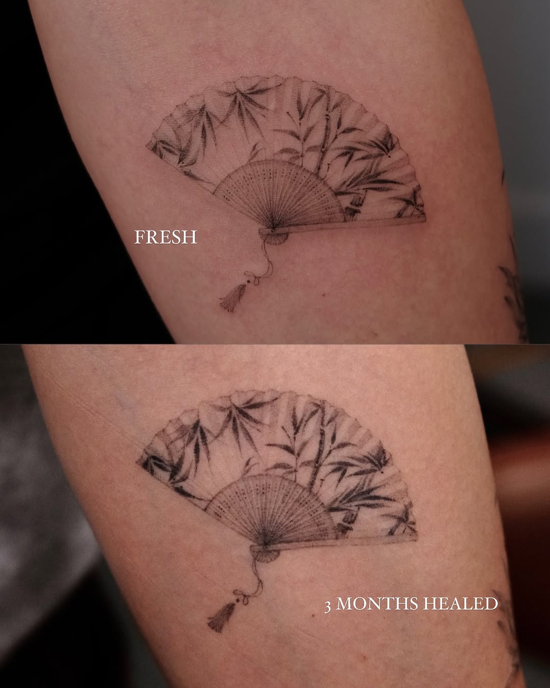 fine line style tattoo by Beeso