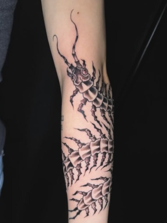 Centipede Creature with Stars