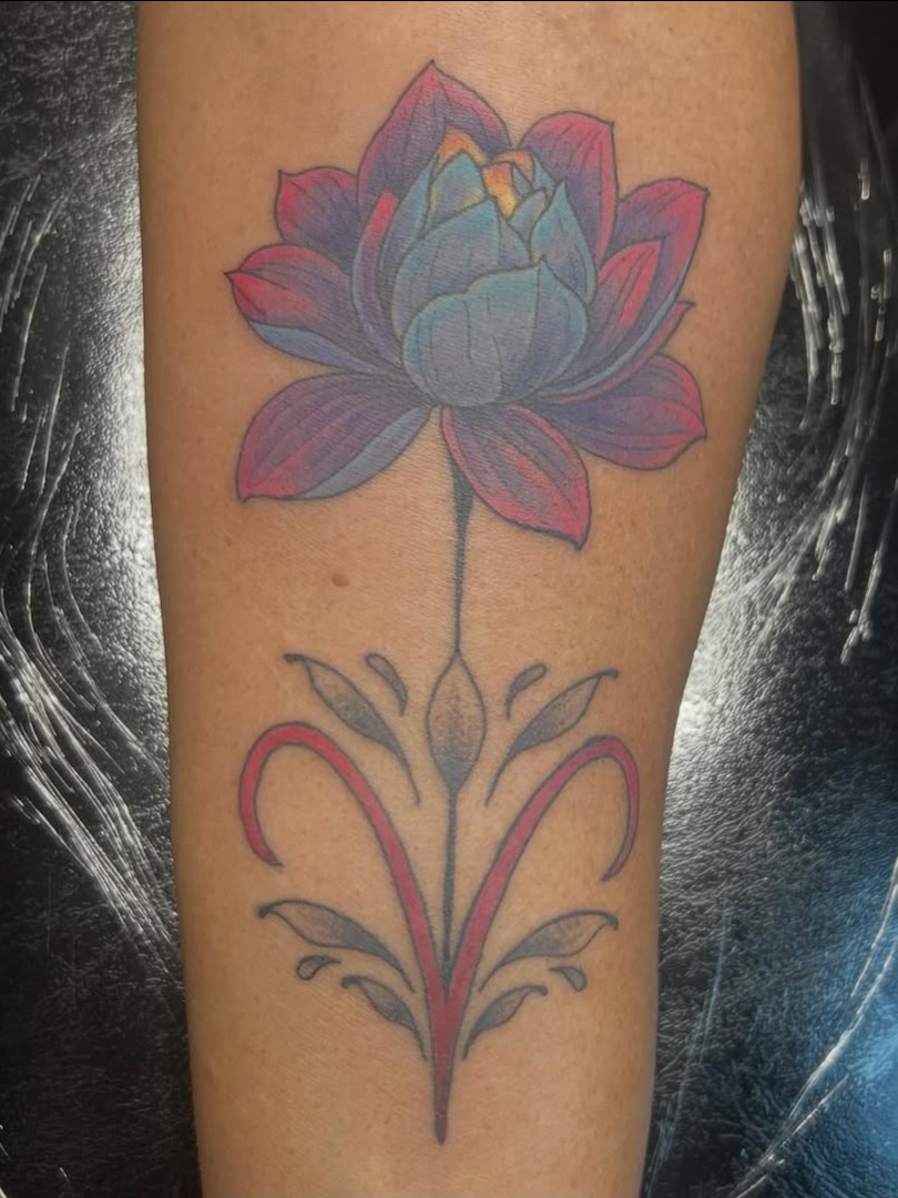 Vibrant Lotus Flower Blossom