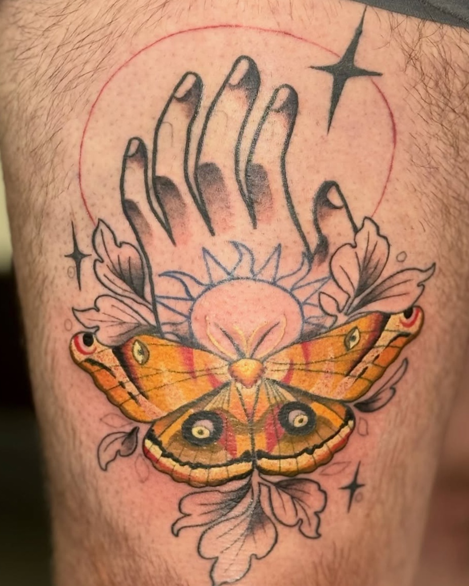 Vibrant moth and reaching hand